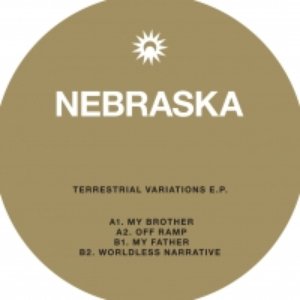 TERRESTRIAL VARIATIONS EP