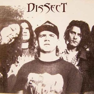 Dissect (Hun) 的头像