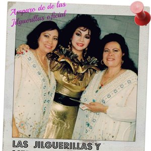 Las Jilguerillas 的头像