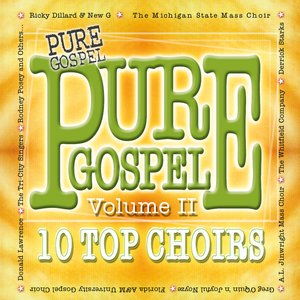 Pure Gospel - 10 Top Choirs - Volume 2