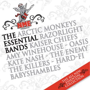 Изображение для 'NME Presents The Essential Bands'