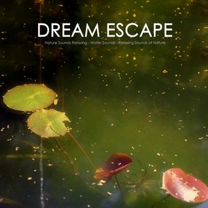 Green Escape - Water Sound, Natural Sounds and Relaxing Sounds of Nature