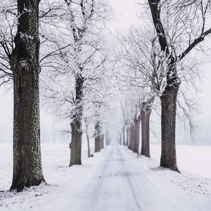 Final Snowy Path