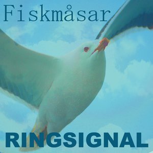 Fiskmåsar Ringsignal