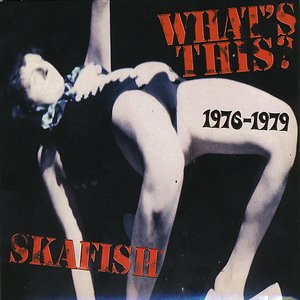 What's This? 1976-1979