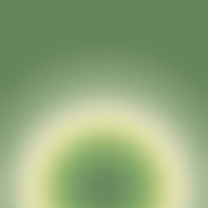 Dog Music: Tranquil Melodies for the Ultimate Dog Relaxation