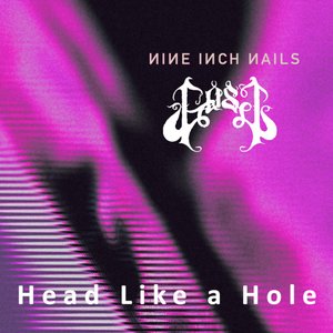 “Head Like a Hole”的封面