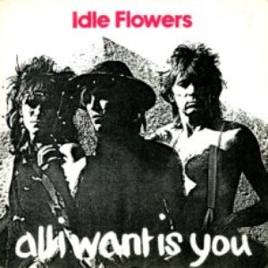 All I Want Is You