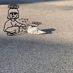 hachigatsu_news 的头像