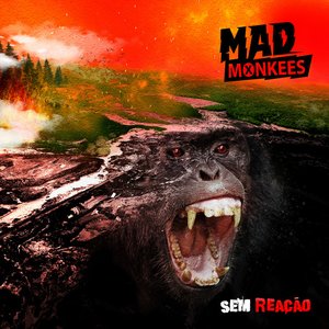 Sem Reação - Single