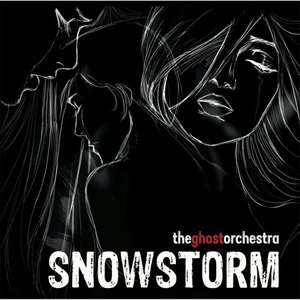 Snowstorm