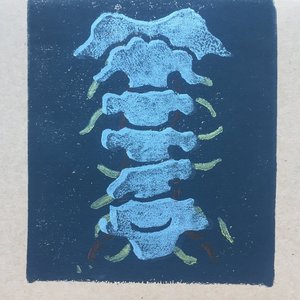 C4C5