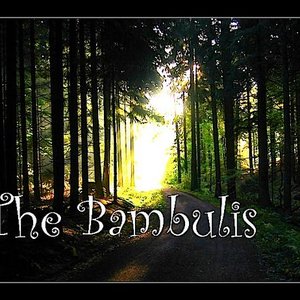 Avatar for The Bambulis