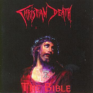 The Bible cover