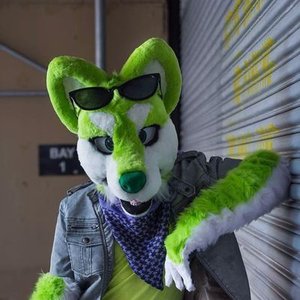 Avatar for Niic