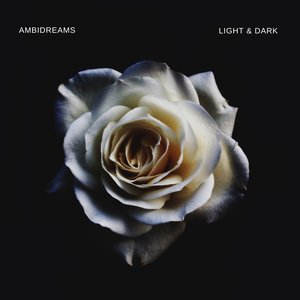 Light & Dark