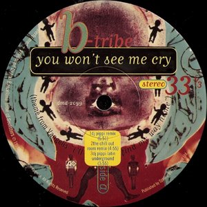 You Won't See Me Cry (Remixes)