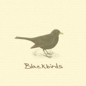 Blackbirds - Single