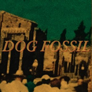 Dog Fossil