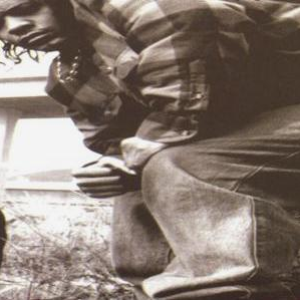 Rifleman photo provided by Last.fm