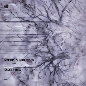 Surrounded (Calyx Remix)