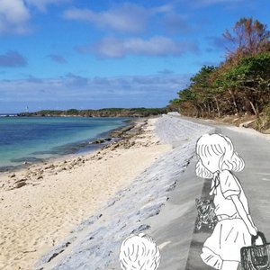 夏の光
