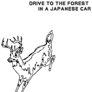 Drive To The Forest In A Japanese Car 的头像
