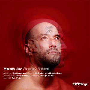 Sanctuary: Remixed I