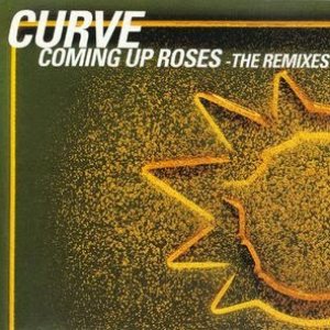 Coming Up Roses - The Remixes