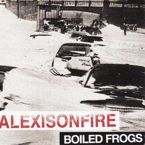 Bolied Frogs