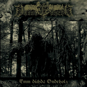 Waldfuir cover