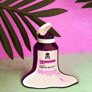 Hurry Up and Wait (Bird Peterson Remix)