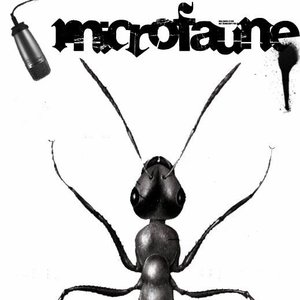 Microfaune 的头像