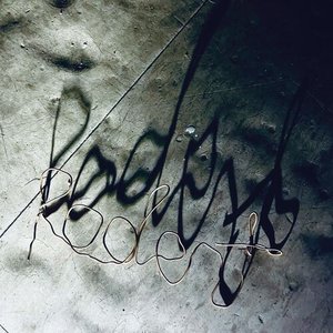 Rodent