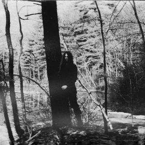 December Wolves photo provided by Last.fm