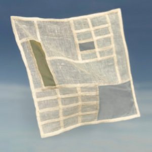 Photographic Memory