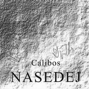 Nasedej