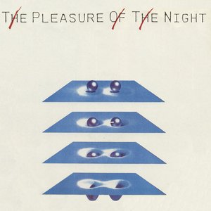 The Pleasure Of The Night