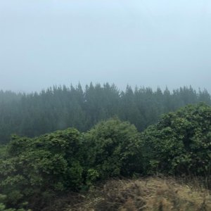 The Trip Back