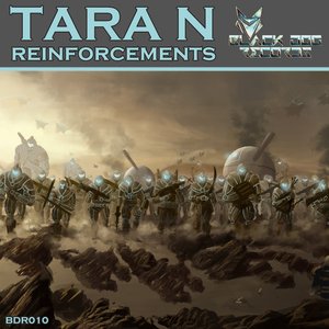 Reinforcements