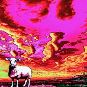 PANIC ATTACK INTERLUDE! (A CHANGE IN TONE)