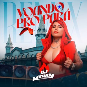 Voando pro Pará (Remix)