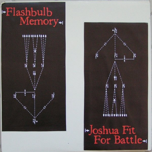 Flashbulb Memory / Joshua Fit for Battle cover