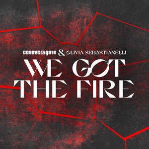 We Got the Fire - Single