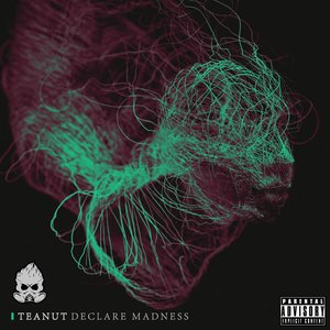 “Declare Madness”的封面