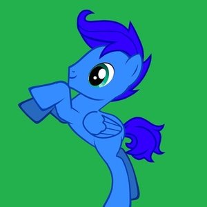 Avatar for Calamus Dash