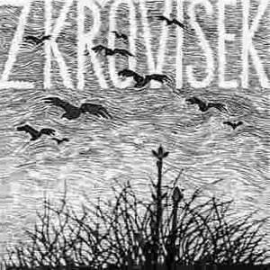 Z křovisek