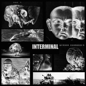 Interminal 的头像