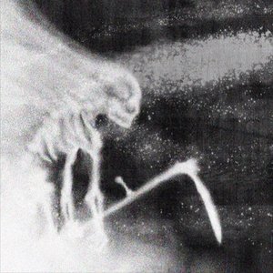 Avatar di Bones, Grayera