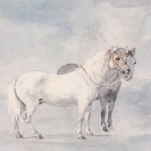 Every Dumb Thing I Ever Did